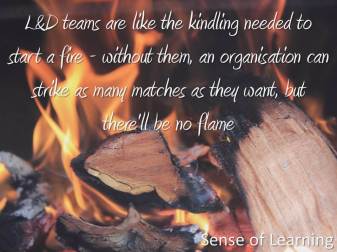 sense of learning quotes_1