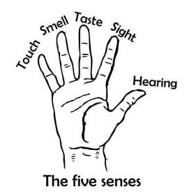 five senses